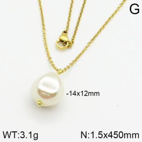 Stainless Steel Necklace  2N3000355vail-736