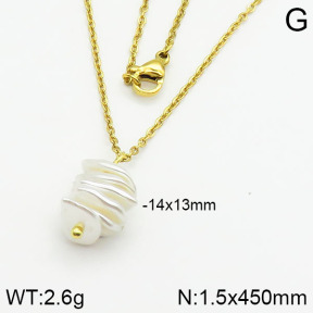 Stainless Steel Necklace  2N3000356vail-736