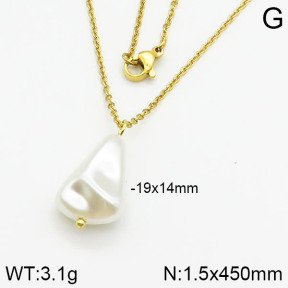 Stainless Steel Necklace  2N3000357vail-736