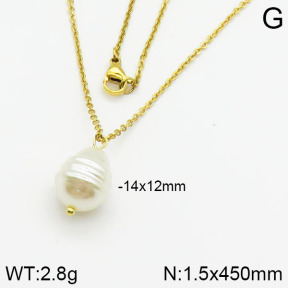 Stainless Steel Necklace  2N3000358vail-736