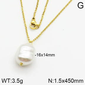 Stainless Steel Necklace  2N3000359vail-736