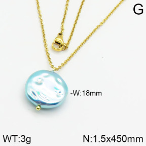Stainless Steel Necklace  2N3000360aajl-736