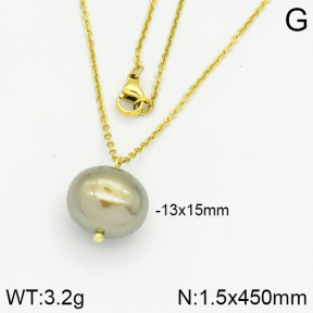 Stainless Steel Necklace  2N3000368aajl-736