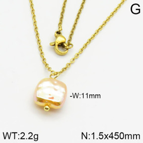Stainless Steel Necklace  2N3000369aajl-736