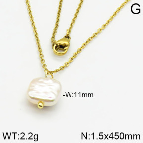 Stainless Steel Necklace  2N3000370aajl-736