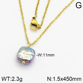 Stainless Steel Necklace  2N3000371aajl-736