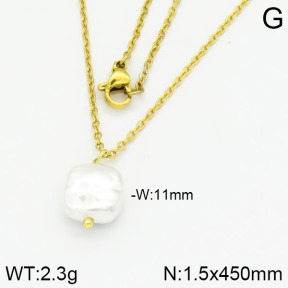 Stainless Steel Necklace  2N3000373aajl-736