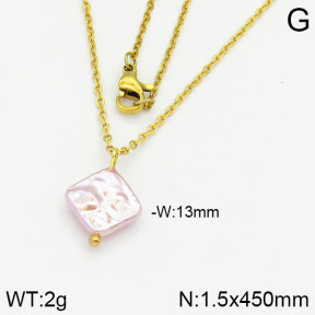 Stainless Steel Necklace  2N3000374aajl-736