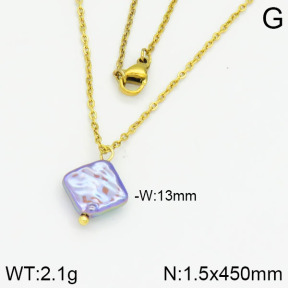 Stainless Steel Necklace  2N3000375aajl-736