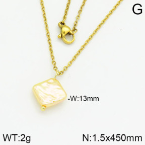Stainless Steel Necklace  2N3000376aajl-736