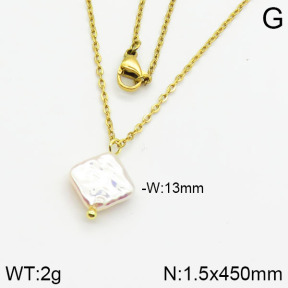 Stainless Steel Necklace  2N3000377aajl-736