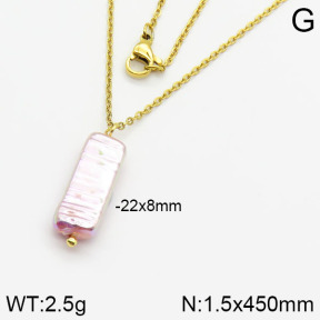 Stainless Steel Necklace  2N3000379aajl-736