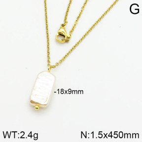 Stainless Steel Necklace  2N3000383aajl-736