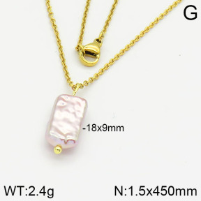 Stainless Steel Necklace  2N3000385aajl-736