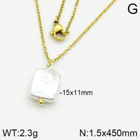Stainless Steel Necklace  2N3000386aajl-736