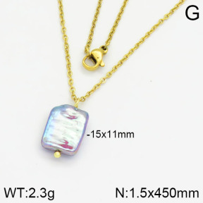 Stainless Steel Necklace  2N3000387aajl-736