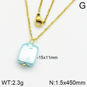 Stainless Steel Necklace  2N3000388aajl-736