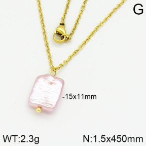 Stainless Steel Necklace  2N3000389aajl-736