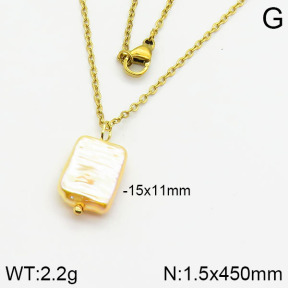 Stainless Steel Necklace  2N3000390aajl-736