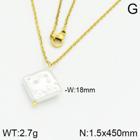 Stainless Steel Necklace  2N3000391aajl-736