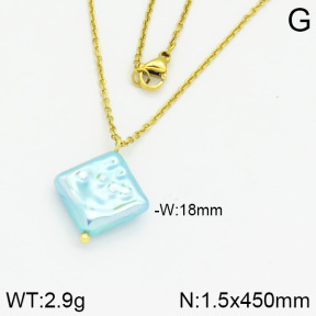 Stainless Steel Necklace  2N3000393aajl-736