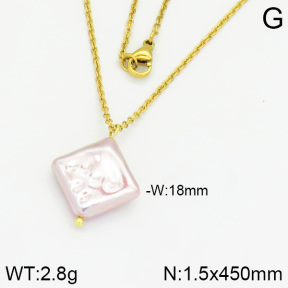 Stainless Steel Necklace  2N3000394aajl-736