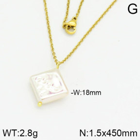 Stainless Steel Necklace  2N3000395aajl-736