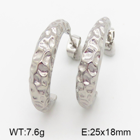 Stainless Steel Earrings  5E2001046bhva-379