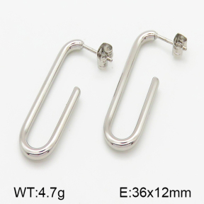 Stainless Steel Earrings  5E2001050vbnb-379