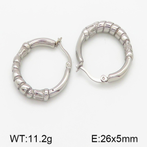 Stainless Steel Earrings  5E2001060bhva-379