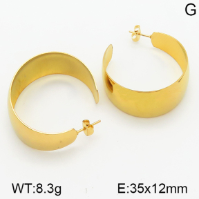 Stainless Steel Earrings  5E2001067aakl-423