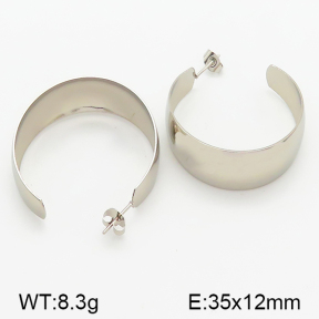 Stainless Steel Earrings  5E2001068baka-423