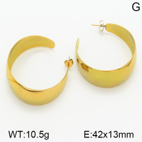 Stainless Steel Earrings  5E2001069aakl-423