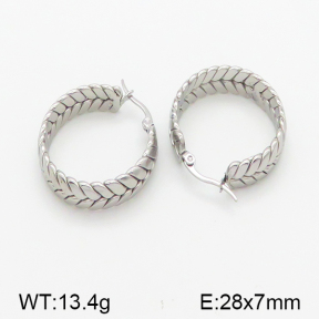 Stainless Steel Earrings  5E2001074bbml-423