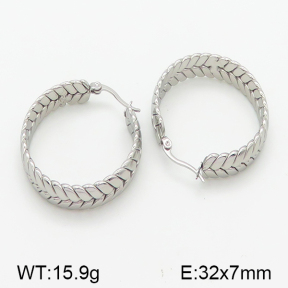 Stainless Steel Earrings  5E2001076bbml-423