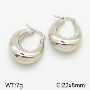 Stainless Steel Earrings  5E2001078abol-423