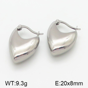 Stainless Steel Earrings  5E2001080vbnb-423