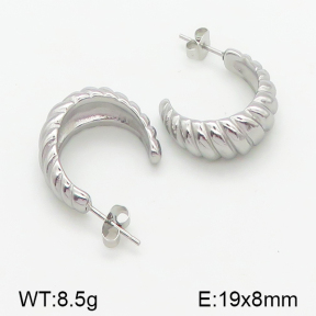 Stainless Steel Earrings  5E2001082vbnb-423