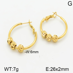 Stainless Steel Earrings  5E2001085ablb-423