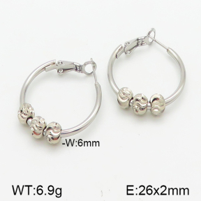 Stainless Steel Earrings  5E2001086aakl-423