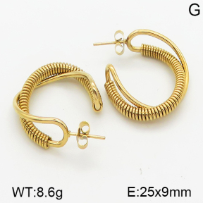 Stainless Steel Earrings  5E2001089vbmb-423