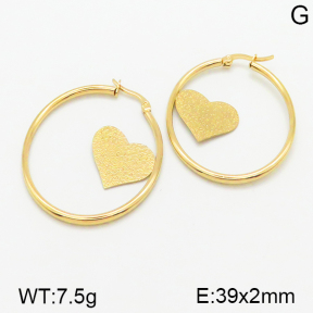 Stainless Steel Earrings  5E2001091baka-423