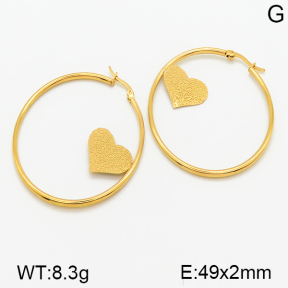 Stainless Steel Earrings  5E2001094ablb-423