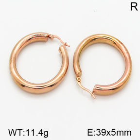 Stainless Steel Earrings  5E2001109vbmb-423