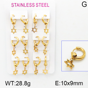 Stainless Steel Earrings  5E2001113vihb-423