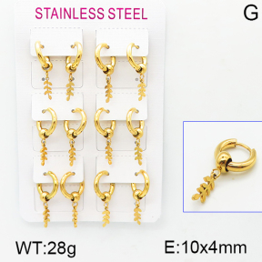 Stainless Steel Earrings  5E2001117vihb-423
