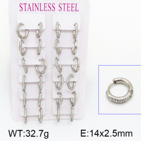 Stainless Steel Earrings  5E4000861ajvb-423