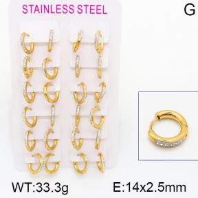 Stainless Steel Earrings  5E4000862ajma-423