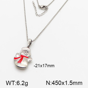 Stainless Steel Necklace  5N3000124bbov-379