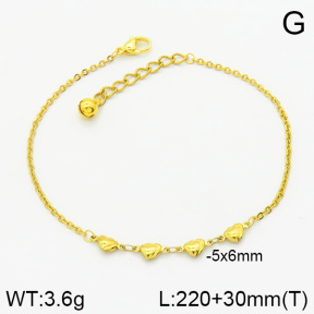 Stainless Steel Anklets  2A9000291vbnb-314